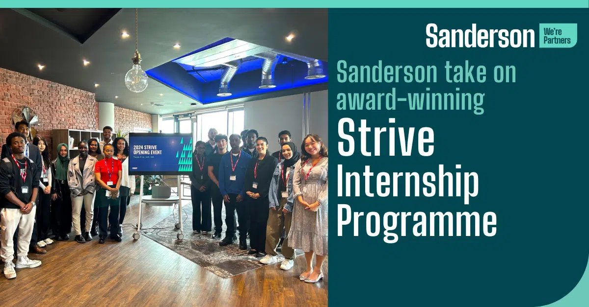 Strive Internship Programme