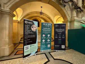 The HR World Spring Networking Drinks