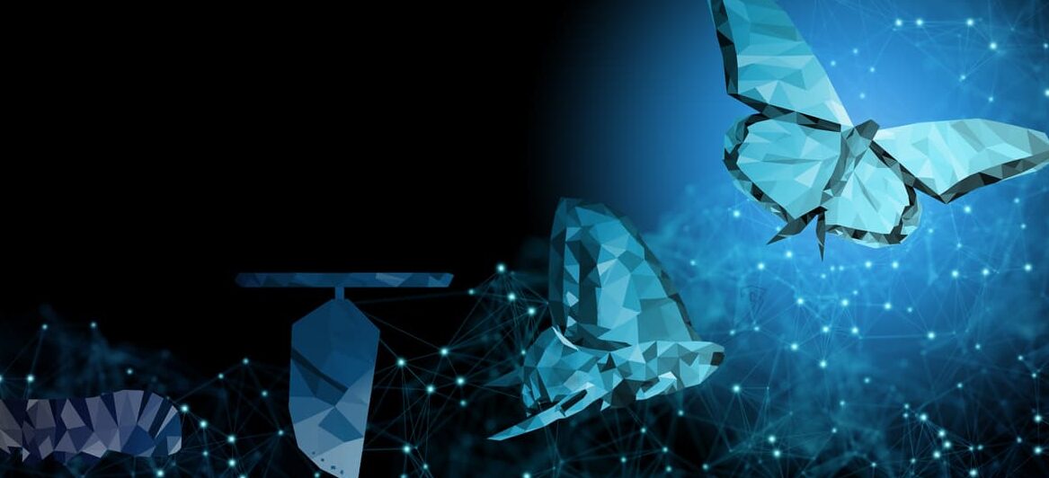 background copy space business transformation innovation change management technology to blockchain, ai like butterfly life cycle imply with success future digitalization evolution leadership strategy
